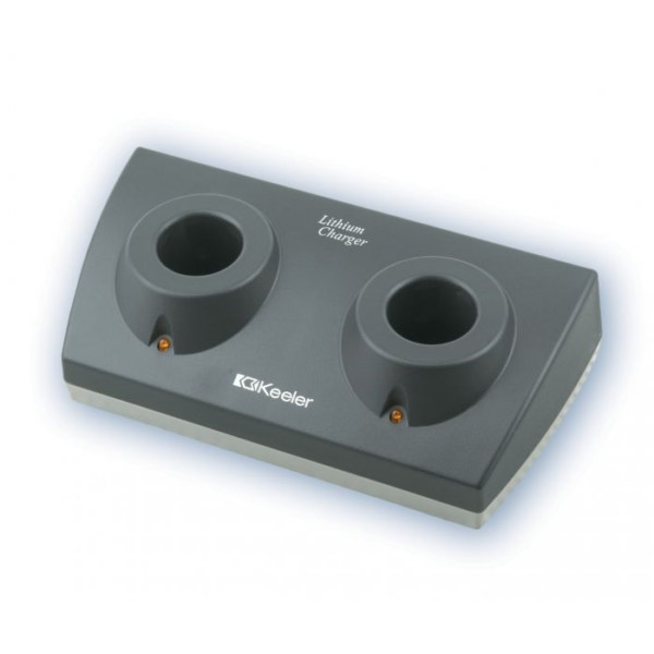 Chargeur double au lithium